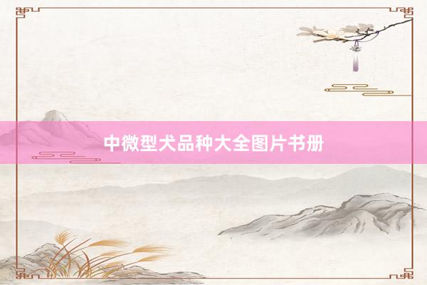中微型犬品种大全图片书册