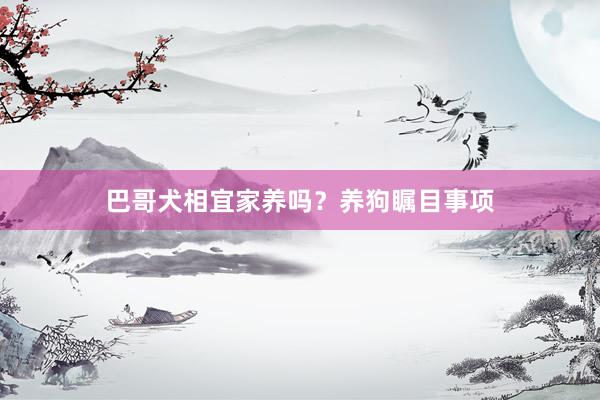 巴哥犬相宜家养吗？养狗瞩目事项
