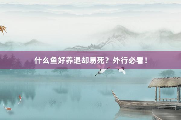 什么鱼好养退却易死?外行必看!