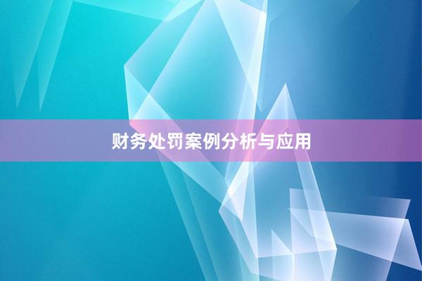 财务处罚案例分析与应用